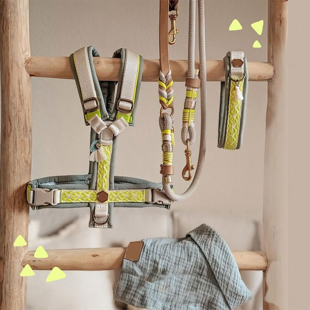 Dog & Cat Collars, Leashes & Harnesses – Webbing, Rope & Padded Designs